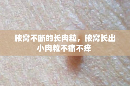 腋窝不断的长肉粒，腋窝长出小肉粒不痛不痒 