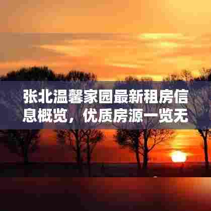张北温馨家园最新租房信息概览，优质房源一览无余