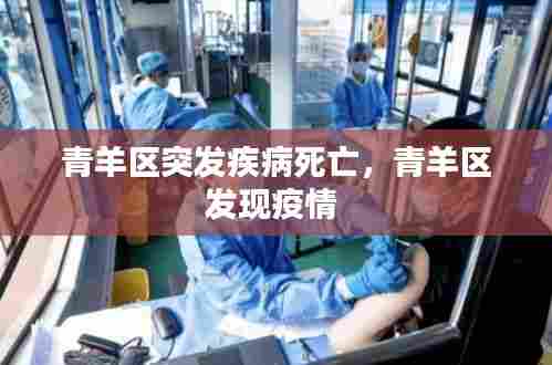 青羊区突发疾病死亡,青羊区发现疫情