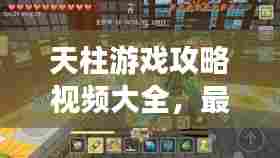 天柱游戏攻略视频大全,最新攻略,一网打尽!