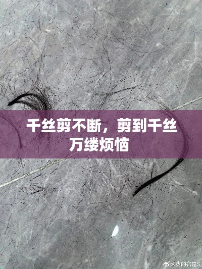 千丝剪不断，剪到千丝万缕烦恼 