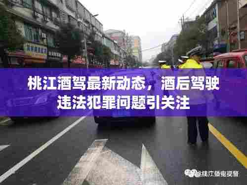 桃江酒驾最新动态，酒后驾驶违法犯罪问题引关注