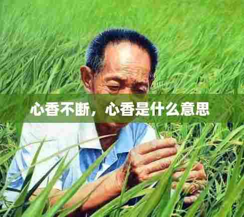心香不断,心香是什么意思