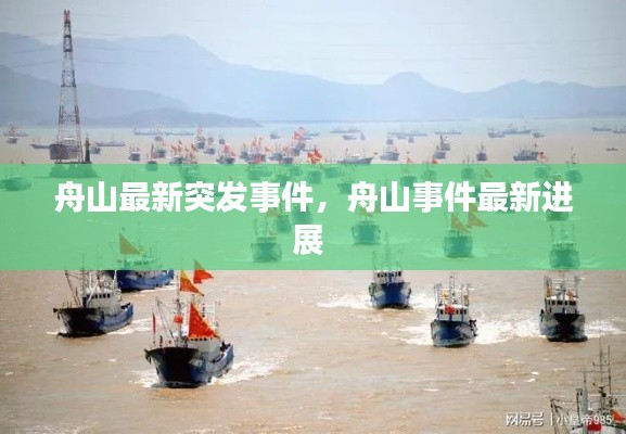 舟山最新突发事件，舟山事件最新进展 