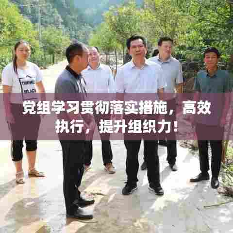 党组学习贯彻落实措施,高效执行,提升组织力!