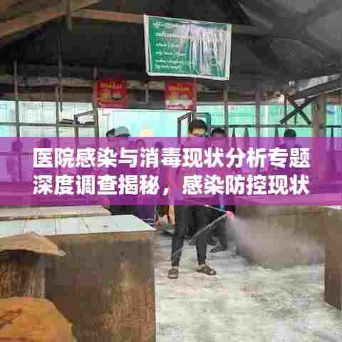 医院感染与消毒现状分析专题深度调查揭秘,感染防控现状与挑战