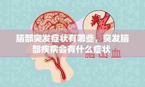 春蛙秋蝉 第8页