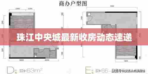 珠江中央城最新收房动态速递