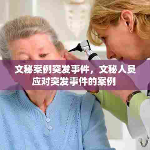 半截鸟木 第5页