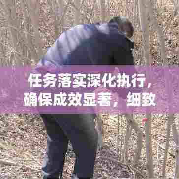 任务落实深化执行，确保成效显著，细致推进，不留死角！
