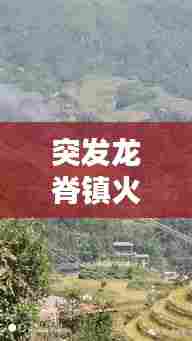 突发龙脊镇火灾，桂林龙脊火灾 