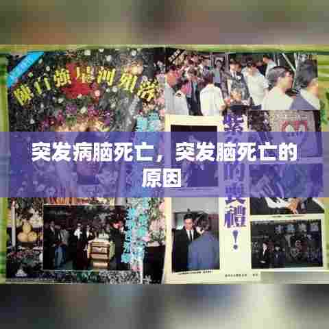 突发病脑死亡,突发脑死亡的原因