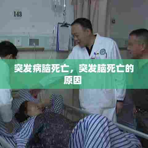 突发病脑死亡,突发脑死亡的原因
