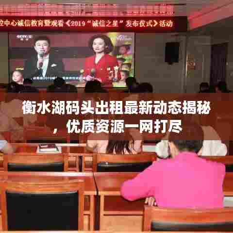 衡水湖码头出租最新动态揭秘,优质资源一网打尽