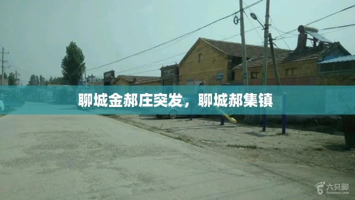 聊城金郝庄突发,聊城郝集镇