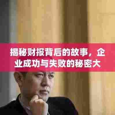 揭秘财报背后的故事，企业成功与失败的秘密大揭秘！
