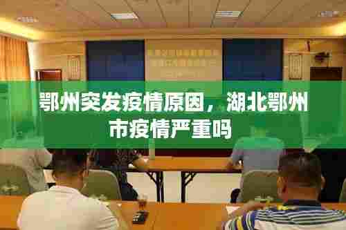 鄂州突发疫情原因，湖北鄂州市疫情严重吗 
