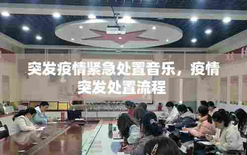 突发疫情紧急处置音乐，疫情突发处置流程 
