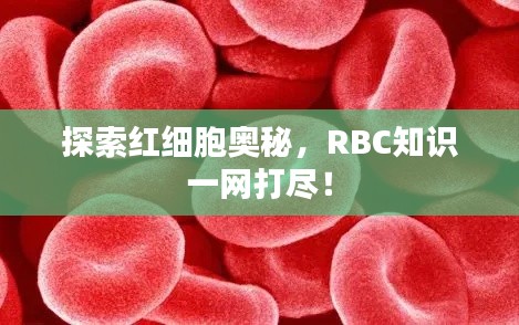 探索红细胞奥秘,RBC知识一网打尽!