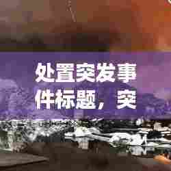处置突发事件标题,突发事件处置典型案例