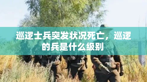 巡逻士兵突发状况死亡,巡逻的兵是什么级别