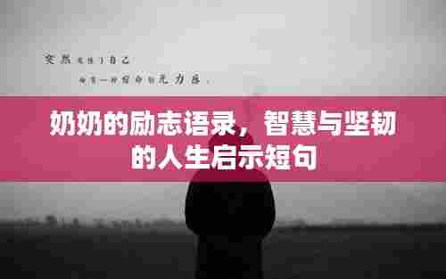 奶奶的励志语录，智慧与坚韧的人生启示短句