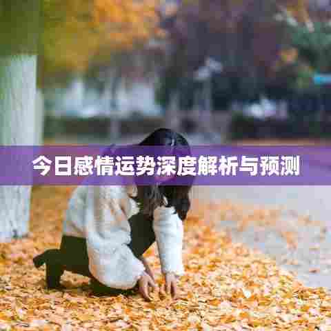 今日感情运势深度解析与预测