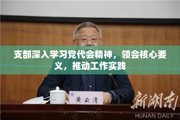支部深入学习党代会精神，领会核心要义，推动工作实践
