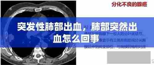 突发性肺部出血,肺部突然出血怎么回事