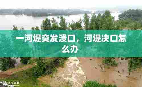 一河堤突发溃口,河堤决口怎么办