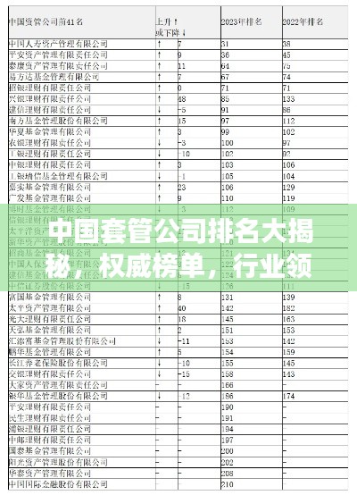 中国套管公司排名大揭秘，权威榜单，行业领军者一网打尽！