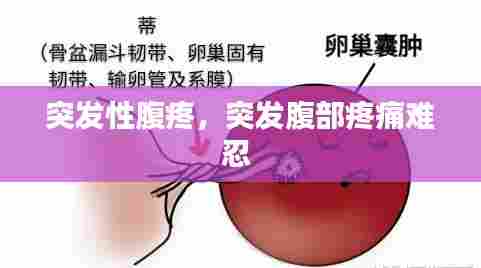 突发性腹疼，突发腹部疼痛难忍 