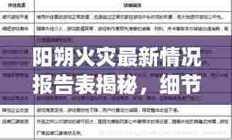 阳朔火灾最新情况报告表揭秘，细节披露，安全警钟长鸣！