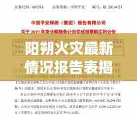 阳朔火灾最新情况报告表揭秘,细节披露,安全警钟长鸣!