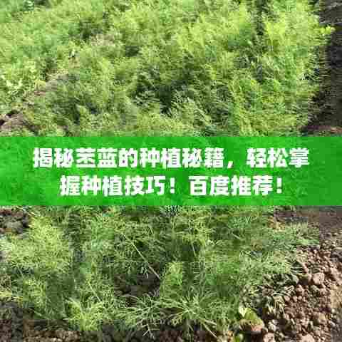 骨瘦如柴 第6页