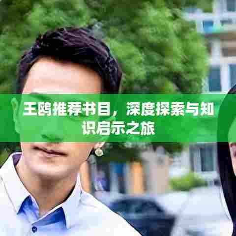 王鸥推荐书目，深度探索与知识启示之旅