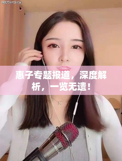 惠子专题报道，深度解析，一览无遗！