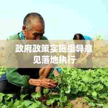 政府政策实施指导意见落地执行