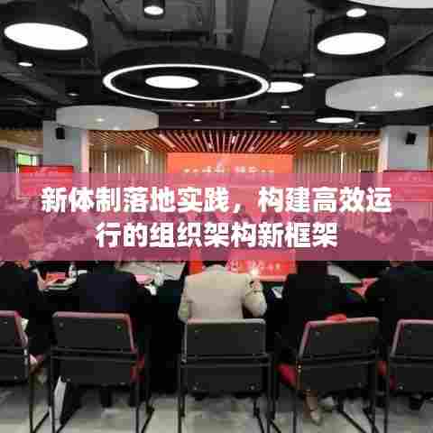 新体制落地实践,构建高效运行的组织架构新框架