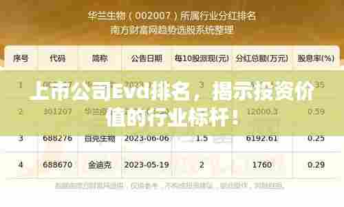 上市公司Evd排名,揭示投资价值的行业标杆!