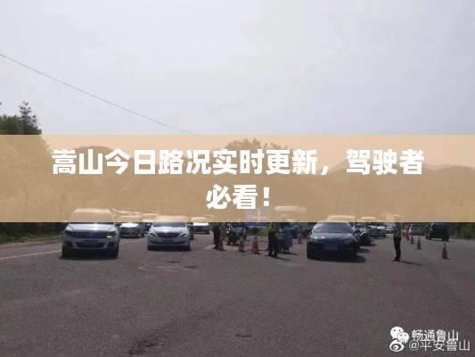 龙飞九五 第6页