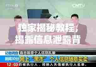独家揭秘教程,揭露信息泄露背后的真相