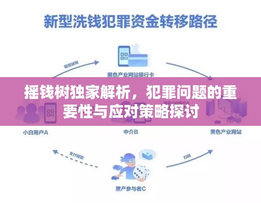 摇钱树独家解析，犯罪问题的重要性与应对策略探讨