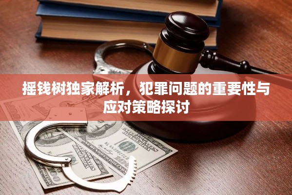 摇钱树独家解析,犯罪问题的重要性与应对策略探讨