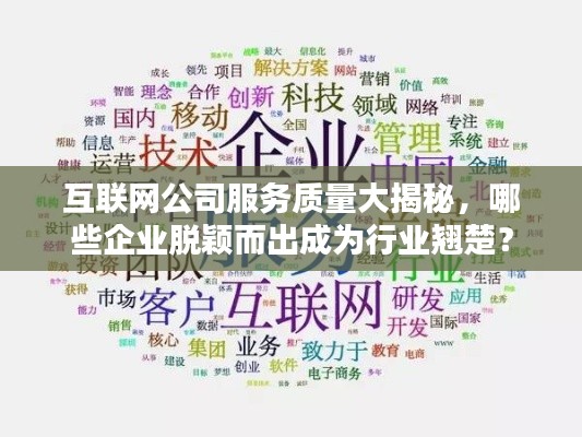 互联网公司服务质量大揭秘，哪些企业脱颖而出成为行业翘楚？
