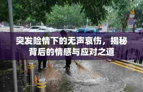 突发险情下的无声哀伤，揭秘背后的情感与应对之道