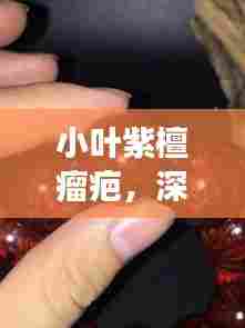 小叶紫檀瘤疤,深度解读与奥秘探索