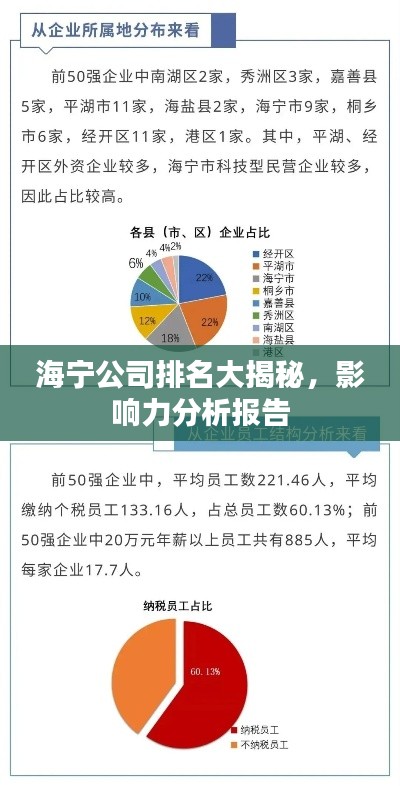 海宁公司排名大揭秘,影响力分析报告