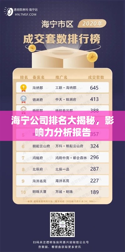 海宁公司排名大揭秘,影响力分析报告