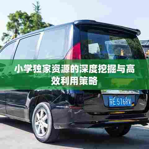 小学独家资源的深度挖掘与高效利用策略